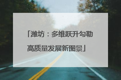 潍坊：多维跃升勾勒高质量发展新图景