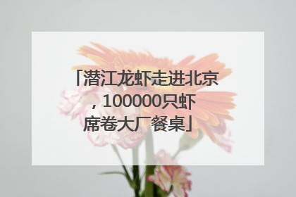 潜江龙虾走进北京，100000只虾席卷大厂餐桌