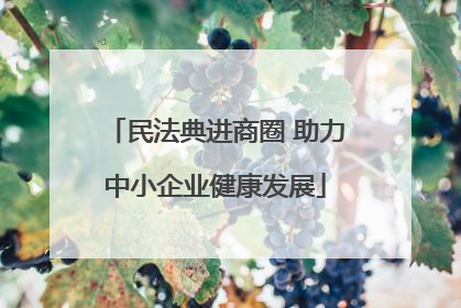 民法典进商圈 助力中小企业健康发展