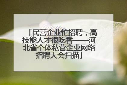 民营企业忙招聘，高技能人才很吃香——河北省个体私营企业网络招聘大会扫描