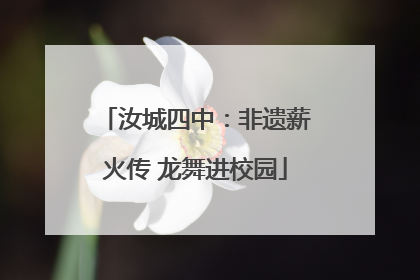 汝城四中：非遗薪火传 龙舞进校园