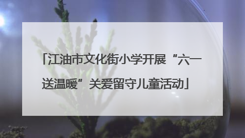 江油市文化街小学开展“六一送温暖”关爱留守儿童活动