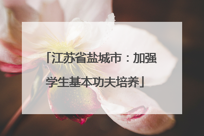 江苏省盐城市：加强学生基本功夫培养
