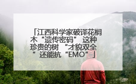 江西科学家破译花榈木“遗传密码” 这种珍贵的树 “才貌双全”还能抗“EMO”