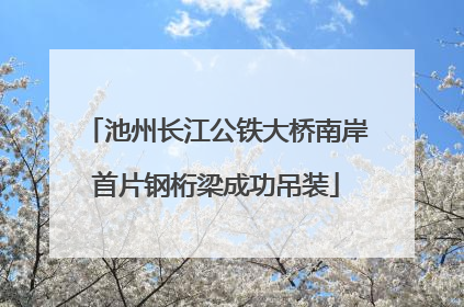 池州长江公铁大桥南岸首片钢桁梁成功吊装
