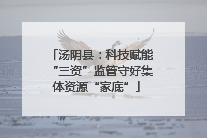 汤阴县：科技赋能“三资”监管守好集体资源“家底”