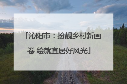 沁阳市：扮靓乡村新画卷 绘就宜居好风光