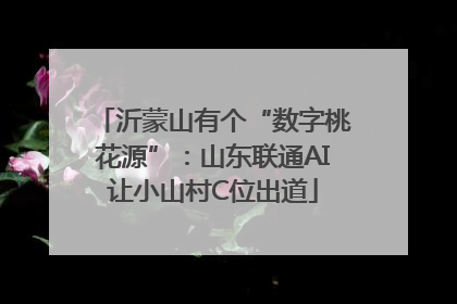 沂蒙山有个“数字桃花源”：山东联通AI让小山村C位出道