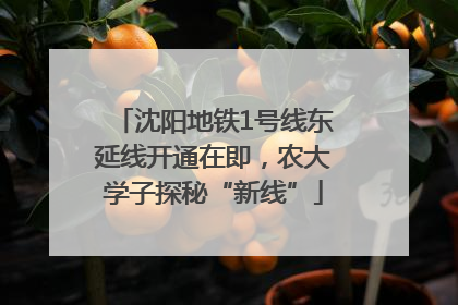 沈阳地铁1号线东延线开通在即，农大学子探秘“新线”