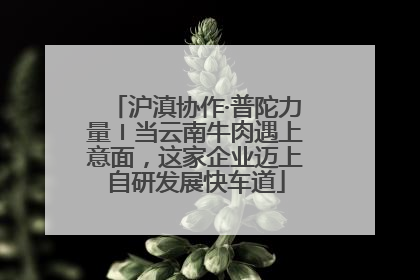 沪滇协作·普陀力量〡当云南牛肉遇上意面，这家企业迈上自研发展快车道