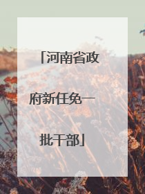 河南省政府新任免一批干部