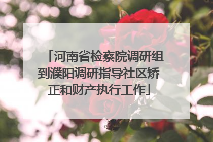 河南省检察院调研组到濮阳调研指导社区矫正和财产执行工作
