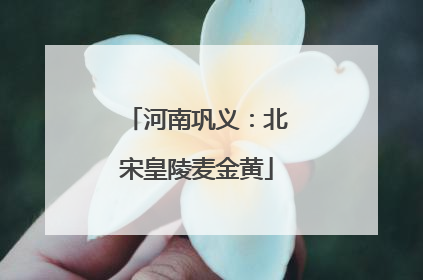 河南巩义：北宋皇陵麦金黄