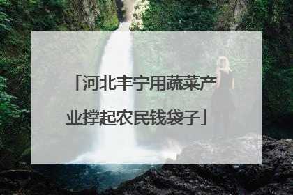 河北丰宁用蔬菜产业撑起农民钱袋子
