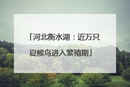 河北衡水湖：近万只夏候鸟进入繁殖期