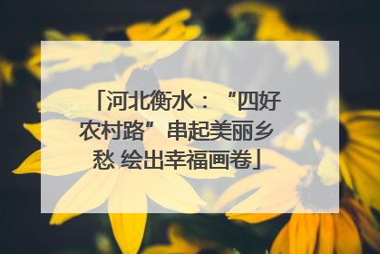 河北衡水：“四好农村路”串起美丽乡愁 绘出幸福画卷