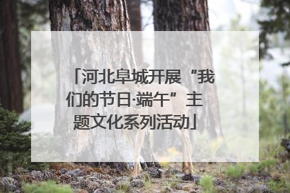 河北阜城开展“我们的节日·端午”主题文化系列活动