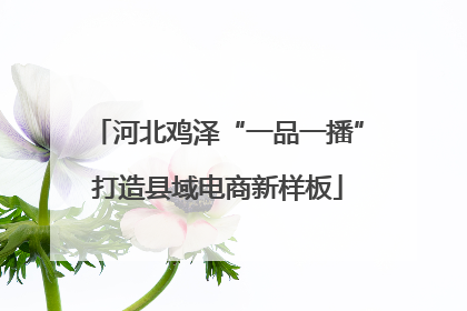 河北鸡泽“一品一播”打造县域电商新样板