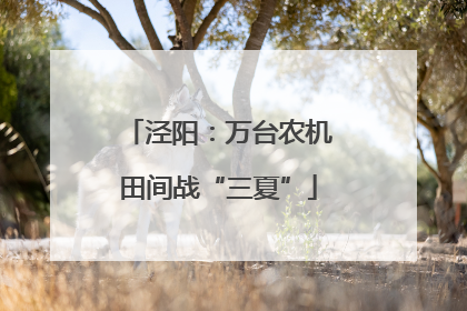 泾阳：万台农机田间战“三夏”
