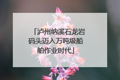 泸州纳溪石龙岩码头迈入万吨级船舶作业时代