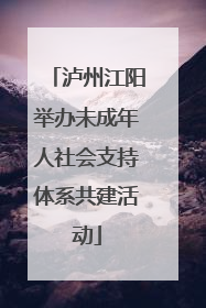 泸州江阳举办未成年人社会支持体系共建活动