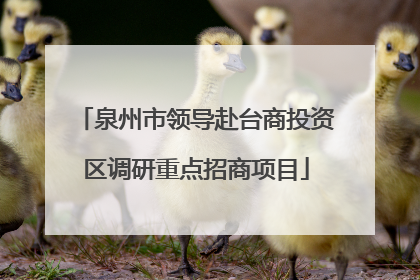 泉州市领导赴台商投资区调研重点招商项目