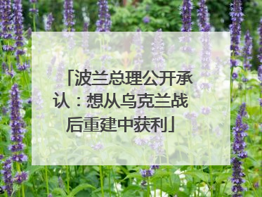 波兰总理公开承认：想从乌克兰战后重建中获利
