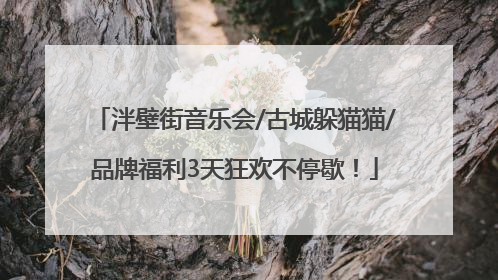 泮壁街音乐会/古城躲猫猫/品牌福利3天狂欢不停歇！