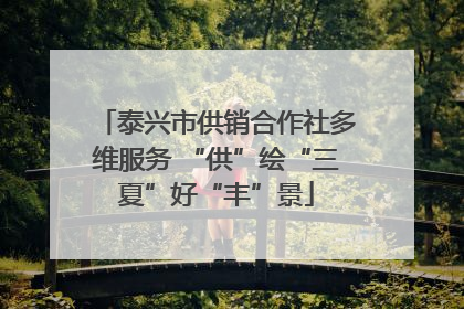 泰兴市供销合作社多维服务 “供”绘“三夏”好“丰”景