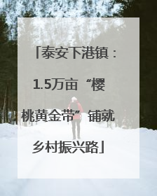 泰安下港镇：1.5万亩“樱桃黄金带”铺就乡村振兴路