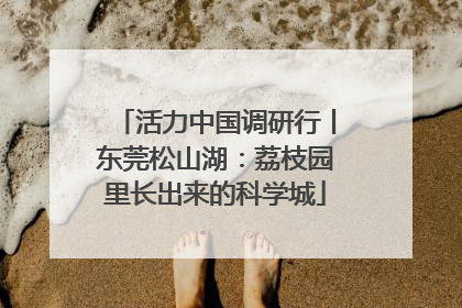 活力中国调研行丨东莞松山湖：荔枝园里长出来的科学城