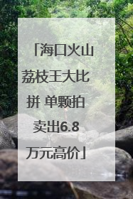 海口火山荔枝王大比拼 单颗拍卖出6.8万元高价