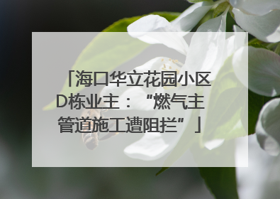 海口华立花园小区D栋业主：“燃气主管道施工遭阻拦”