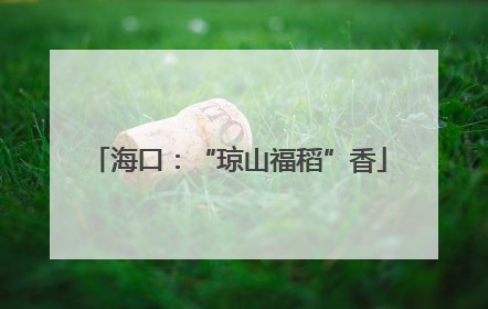 海口：“琼山福稻”香