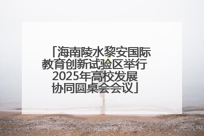 海南陵水黎安国际教育创新试验区举行2025年高校发展协同圆桌会会议