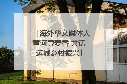 海外华文媒体人黄河寻麦香 共话运城乡村振兴