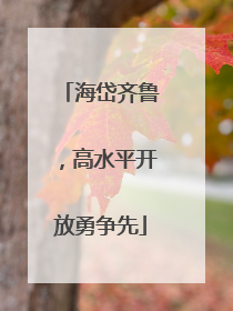 海岱齐鲁，高水平开放勇争先