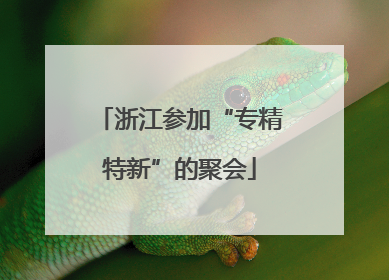浙江参加“专精特新”的聚会