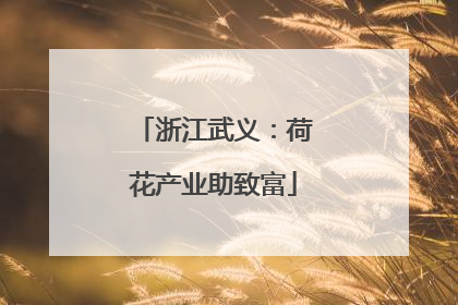 浙江武义：荷花产业助致富
