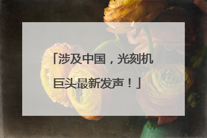 涉及中国，光刻机巨头最新发声！