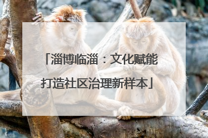 淄博临淄：文化赋能 打造社区治理新样本
