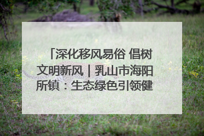 深化移风易俗 倡树文明新风｜乳山市海阳所镇：生态绿色引领健康生活新时尚