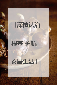 深植法治根基 护航安居生活