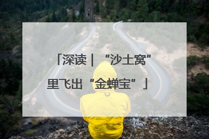 深读｜“沙土窝”里飞出“金蝉宝”