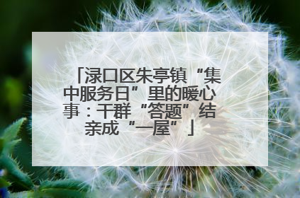 渌口区朱亭镇“集中服务日”里的暖心事：干群“答题”结亲成“一屋”