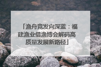 渔舟竞发向深蓝：福建渔业借渔博会解码高质量发展新路径
