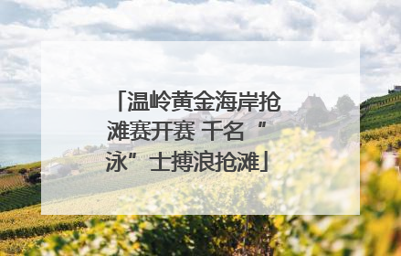 温岭黄金海岸抢滩赛开赛 千名“泳”士搏浪抢滩