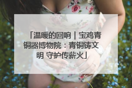 温暖的回响｜宝鸡青铜器博物院：青铜铸文明 守护传薪火