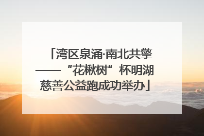 湾区泉涌·南北共擎——“花楸树”杯明湖慈善公益跑成功举办