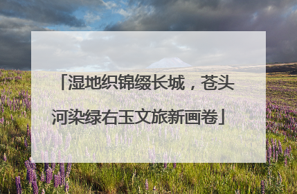 湿地织锦缀长城，苍头河染绿右玉文旅新画卷